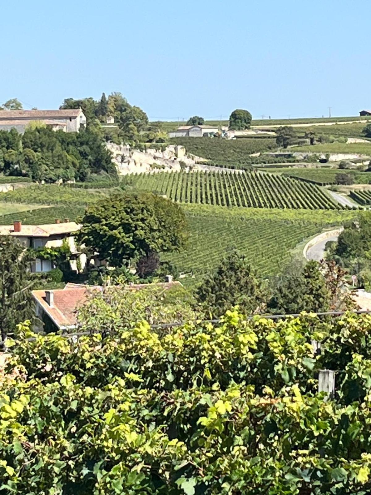 Appartamento Les Logis Des Vignobles Saint Emilion En Duplex N 2 Avec Terrasse Esterno foto